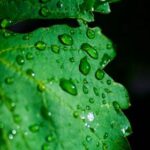 009期开奖结果最新公布,惊喜大奖花落谁家? 0wi3lzopx9