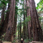 00902开奖结果最新公布,快来看看你中奖了吗? 14554n9s