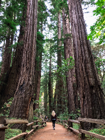 00902开奖结果最新公布,快来看看你中奖了吗?