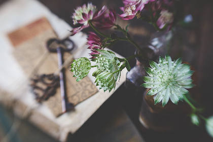 00后直播新浪潮:青春视角下的互动狂欢