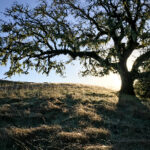 21选5最新开奖号码公布及中奖结果查询 1ggla1jd62