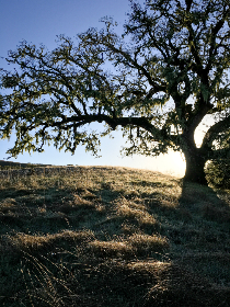 21选5最新开奖号码公布及中奖结果查询