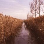 010期双色球开奖结果揭晓:最新中奖号码与奖金详情公布 5s2uq90