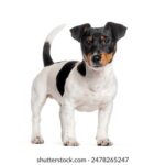 008开奖日万众瞩目,幸运大奖花落谁家 6j1dwsbd