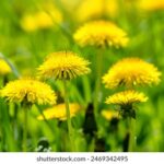 00221期最新开奖结果查询与中奖号码公布 6nu2i