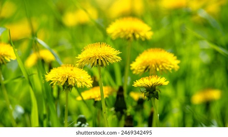 00221期最新开奖结果查询与中奖号码公布