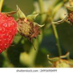 007彩票最新开奖结果与中奖号码查询 6vxvao