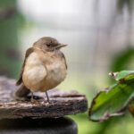 217期开奖号码揭晓:幸运数字花落谁家? 73gn4d2