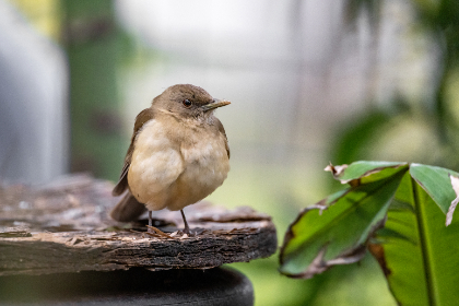 217期开奖号码揭晓:幸运数字花落谁家?