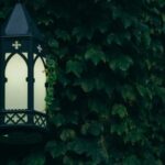 011期开奖网站官方最新开奖结果查询 97k1r14q4x