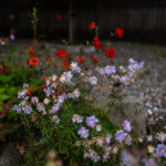 0118开奖现场直播全程回顾与结果揭晓 apssut