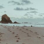 036期开奖结果震撼揭晓,大奖花落谁家引关注 bwgr27bxfh