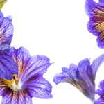 010期开奖结果震撼揭晓,幸运号码正式公布 cw4v1q71