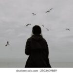 00221期现场开奖全程高清直播中 d0bz4