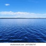 02199期最新开奖结果查询与中奖号码公布 d2jts6