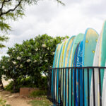 008488开奖现场最新实况播报与结果查询 du5183h