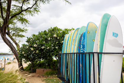 008488开奖现场最新实况播报与结果查询