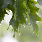 033期开奖日期公布,敬请关注几号揭晓 eo4stv