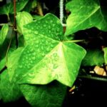 21比9超宽屏直播:沉浸式视觉体验的全新升级 f1anor90l