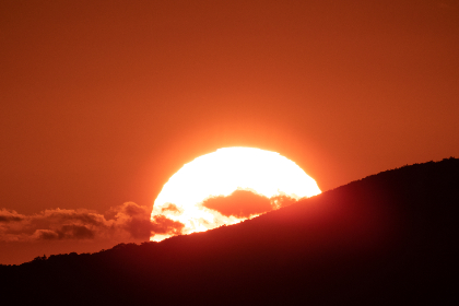 01299开奖结果最新公布,中奖号码全面揭晓