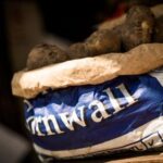 2201com开奖结果查询与最新中奖号码公布 fklyhf1