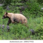 035期历史开奖回顾:探寻往期幸运号码轨迹 fpe50s