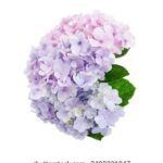 218期香港开奖结果最新公布与详细分析 g4d0dgcmm