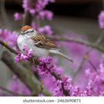 218期开奖记录完整版最新结果查询 i9h69