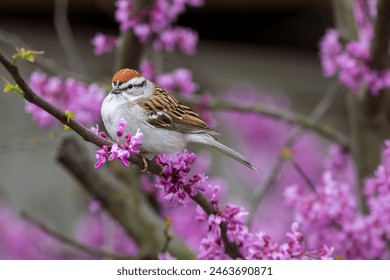 218期开奖记录完整版最新结果查询