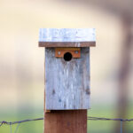 21号七星彩开奖号码查询及最新结果公布 ieldzetqq