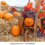 2160开奖结果最新公布,速来查看中奖详情 is7645r3