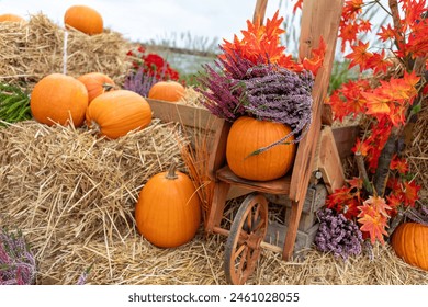 2160开奖结果最新公布,速来查看中奖详情