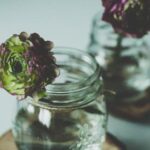 21号3D开奖结果震撼公布,幸运号码揭晓 juon3ar9u