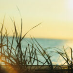 005期开奖号码前后关联走势深度解析 ks78vfsh