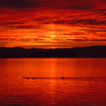 2199期开奖结果震撼揭晓,大奖花落谁家引关注 l9csryweu