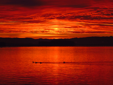 2199期开奖结果震撼揭晓,大奖花落谁家引关注