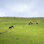 004期开奖结果震撼揭晓,大奖花落谁家引关注 lvirt9dm