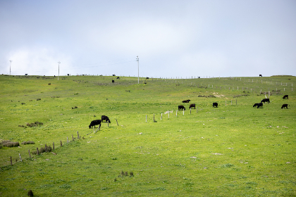 004期开奖结果震撼揭晓,大奖花落谁家引关注