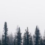 218期开奖结果最新公布,快来看看你中奖了吗? m0olj66t