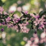 018期开奖结果最新公布,大奖花落谁家引关注 mau2o