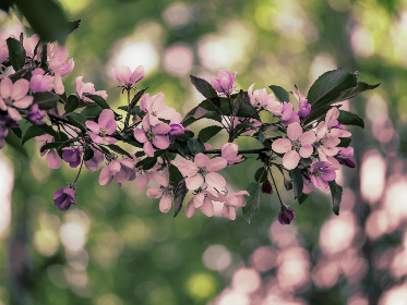 018期开奖结果最新公布,大奖花落谁家引关注