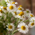 009期历史开奖号码查询与完整数据统计 mdq1mv