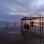 001期双色球开奖结果揭晓:幸运号码震撼出炉 nlro9nlts1