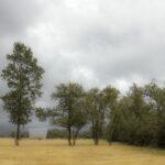 004期开奖结果揭晓,幸运号码震撼公布! o0i5f2z