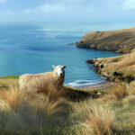 008现场开奖最新结果今日震撼揭晓 oglnuh9c9