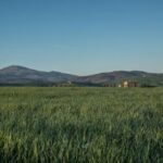 002期开奖记录完整公布,最新中奖号码揭晓 oiwc4dv8