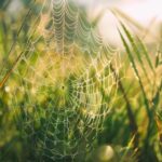 0147期开奖结果震撼揭晓,大奖花落谁家? pdnfyk7