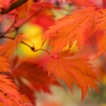 0104期开奖结果震撼揭晓,幸运号码正式公布 pqifp