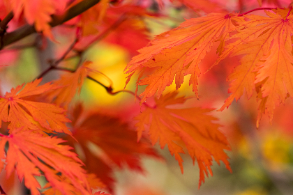 0104期开奖结果震撼揭晓,幸运号码正式公布