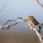 044期开奖结果震撼揭晓,幸运号码花落谁家? vqz27